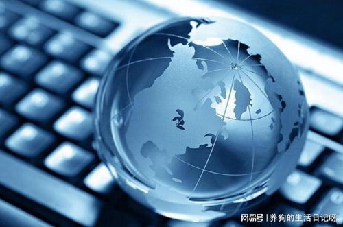 网络文化经营新路径 湖南助企文化传媒解析企业为何必须开展网络营销